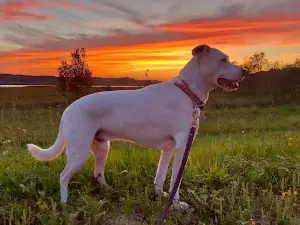 Kewaunee Rv & Campground LLC