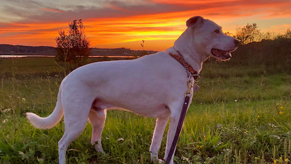 Kewaunee Rv & Campground LLC