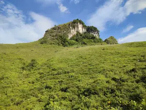 Đồi cỏ Cháy Vinh Quý