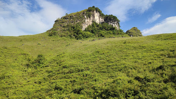 Đồi Cỏ Cháy Vinh Quý