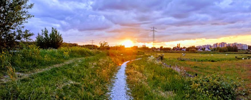 Diemerpolder