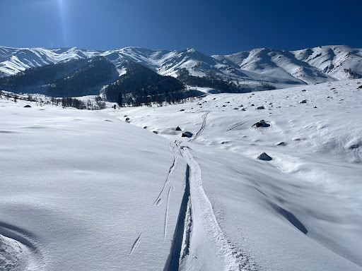 Snow Adventure