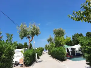 CAMPING OLÉ