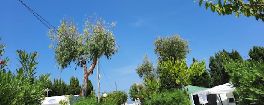 CAMPING OLÉ