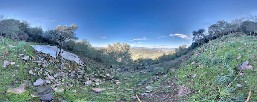 Dörttepe Mahallesi Üçpınar Camii