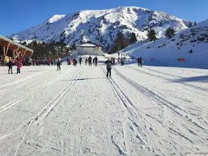 Le Somport