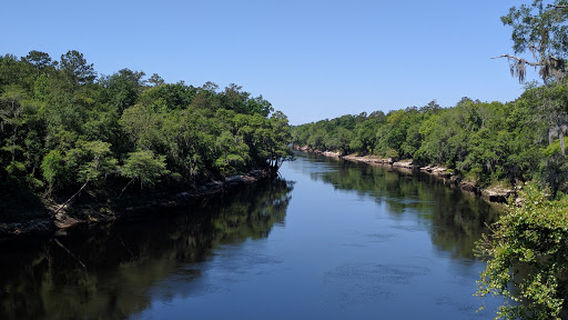 Twin Rivers State Forest