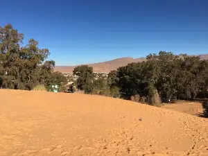 Dune de Ain Sefra