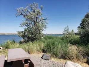 Cottonwood Campground