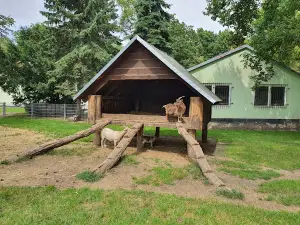 Heimattierpark Wiesenpark Oschersleben