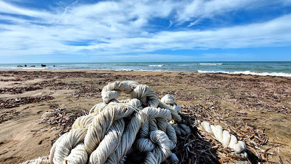 Riserva naturale di Macchiatonda