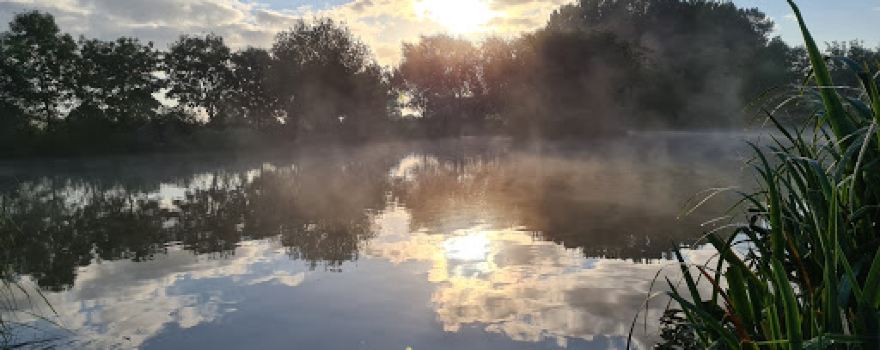 Walnut Tree Farm Fishery Barthomley Fisheries
