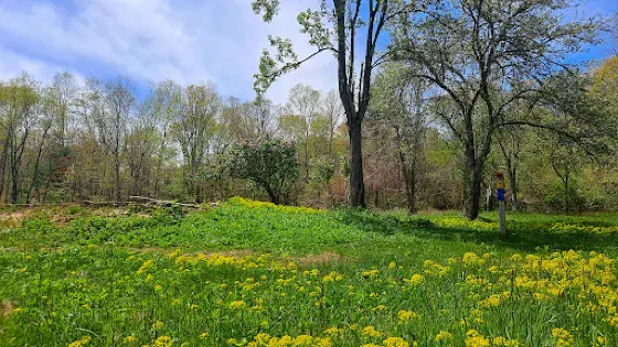 DNRT Wernick Farm Reserve