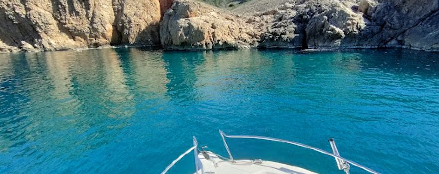 Vitamin Sea Charter
