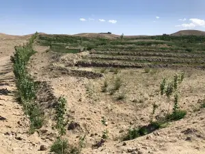 Sahraee lands