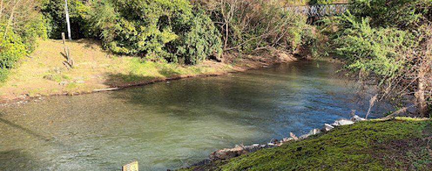 Almadale Recreation Reserve