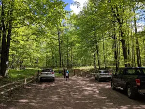 Bundy Hill Preserve