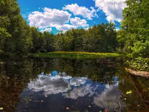 Woodland Acres Campground
