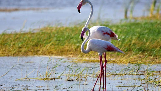 Attidiya Bird Sanctuary