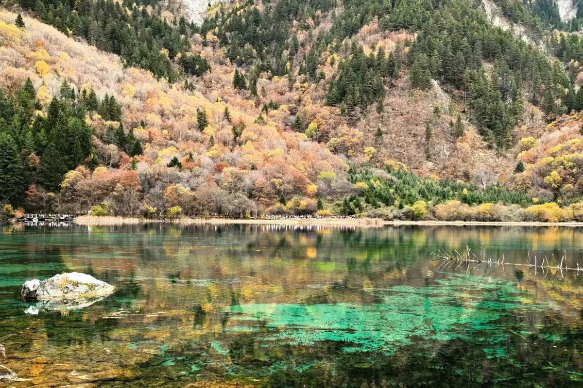 Jiuzhaigou National Park Practical Tips: Altitude, Weather and Park Rules