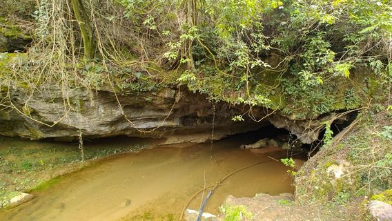 Qin People's Ancient Cave