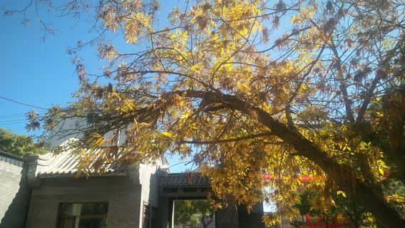 Aili Juanzeng Wenwu Exhibition Hall