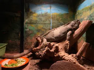 Karagandy Zoo
