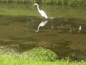 Clio City Park