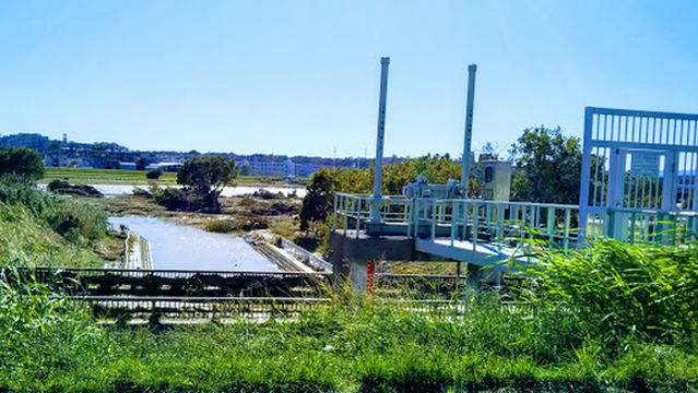 Kinuta Baseball Field