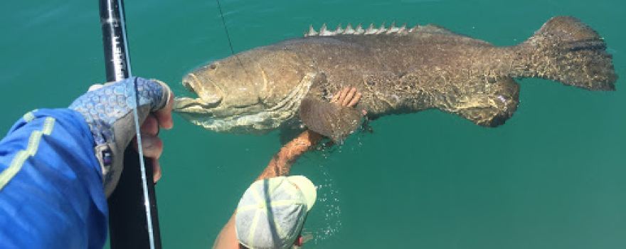 Captain Noah's Sanibel Florida Fishing