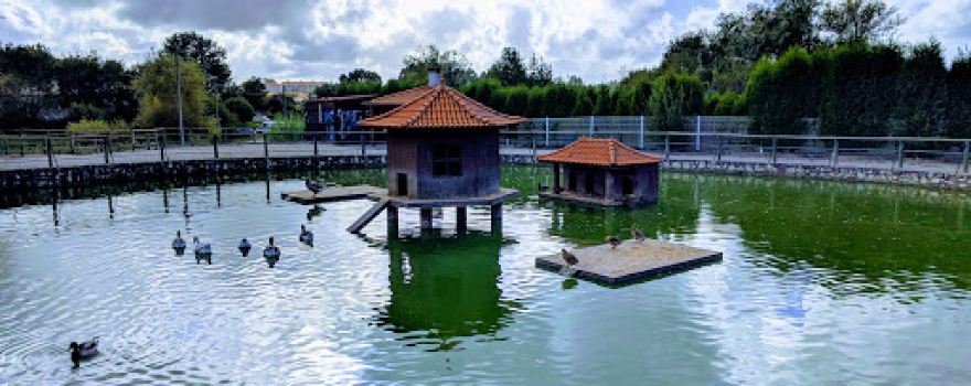 Parque do Vieiro