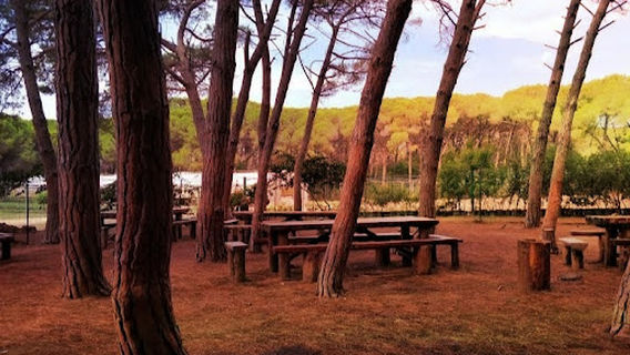 Area attrezzata Riserva naturale di Borgo Bonsignore