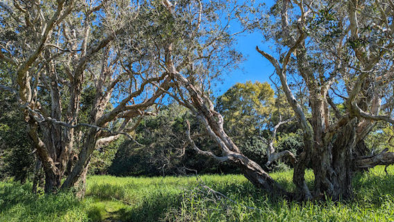 Hinterland Regional Park