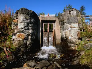 Fröå Gruva, Föreningen