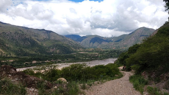 Gallito de las Rocas, Ahuayro, Apurimac