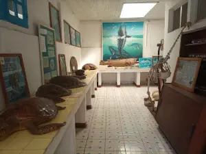Musée Rabesandratana