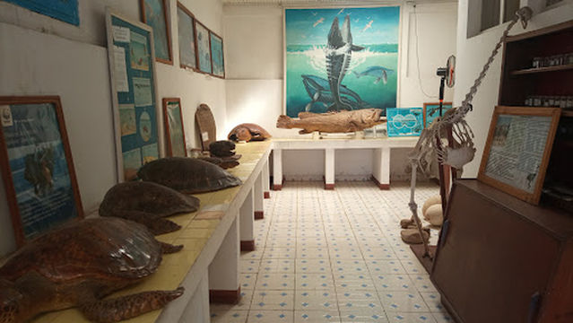 Musée Rabesandratana