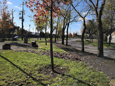 Sarita Gajardo Park