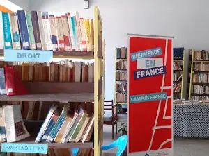 French Alliance of Kisangani