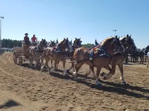 Murray County Fair