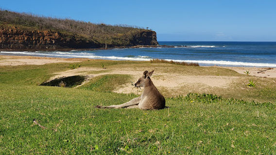 Pebbly Beach