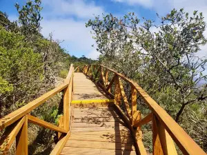 Fray Jorge National Park