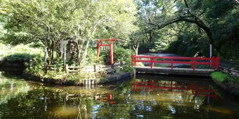 與野公園