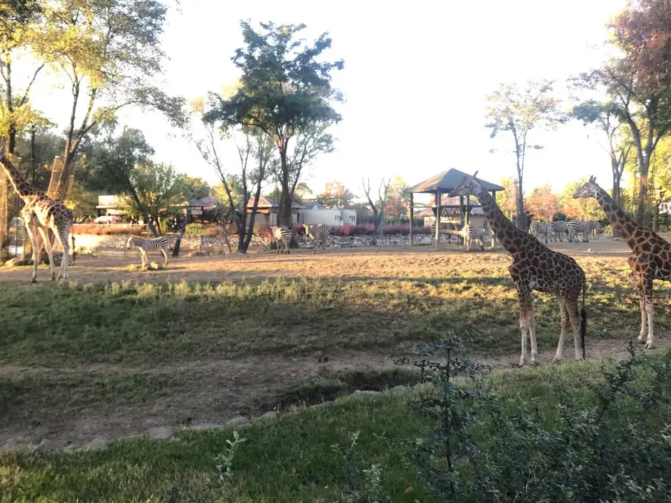 4_布爾薩動物園