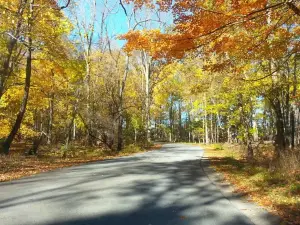 Oak Openings Preserve Metropark