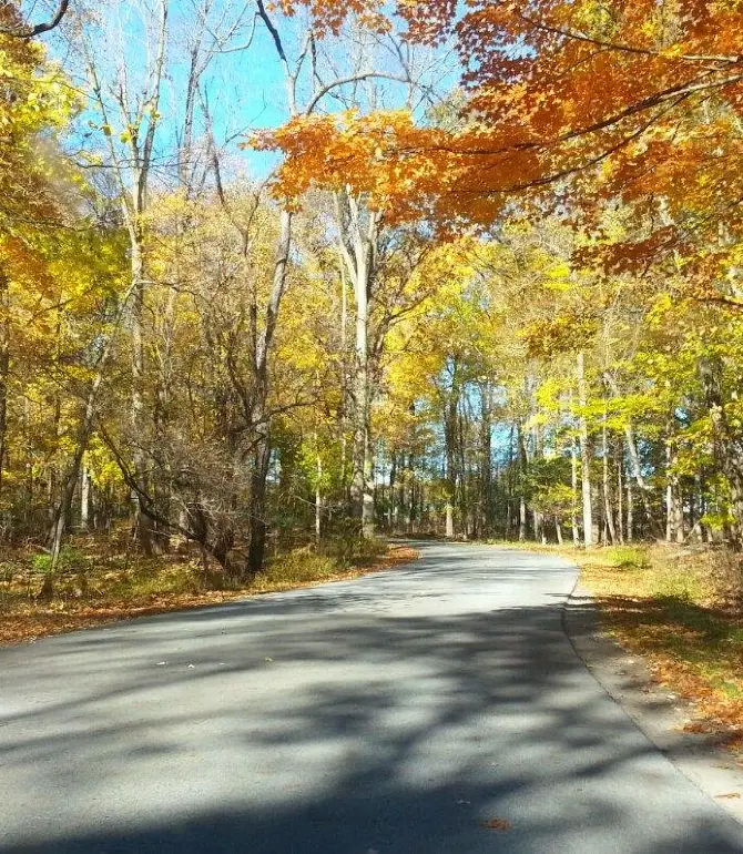 Swanton Township