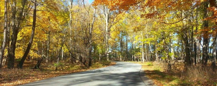 Swanton Township