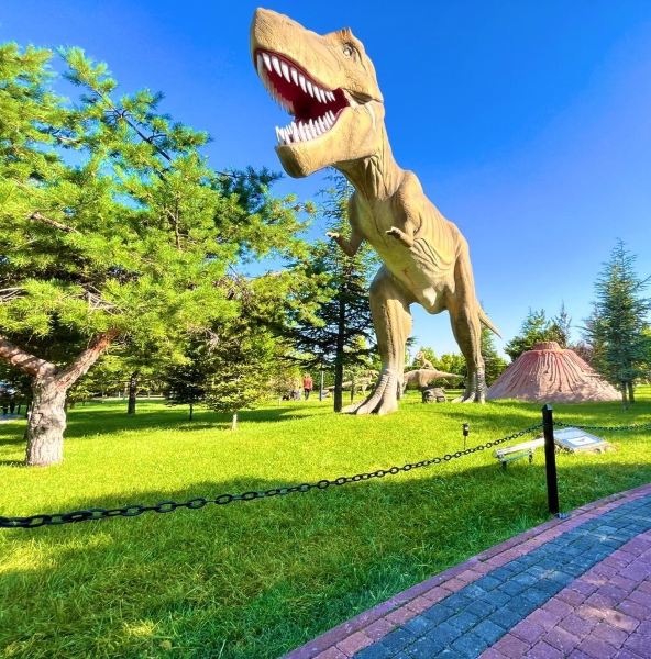 Zhengzhou to Konya Flights