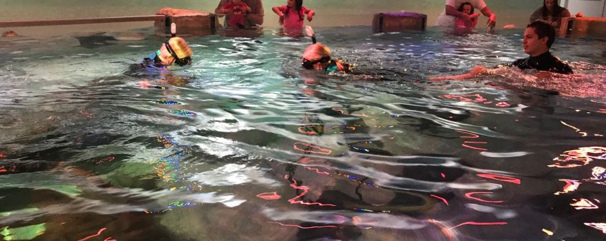 SeaQuest Utah