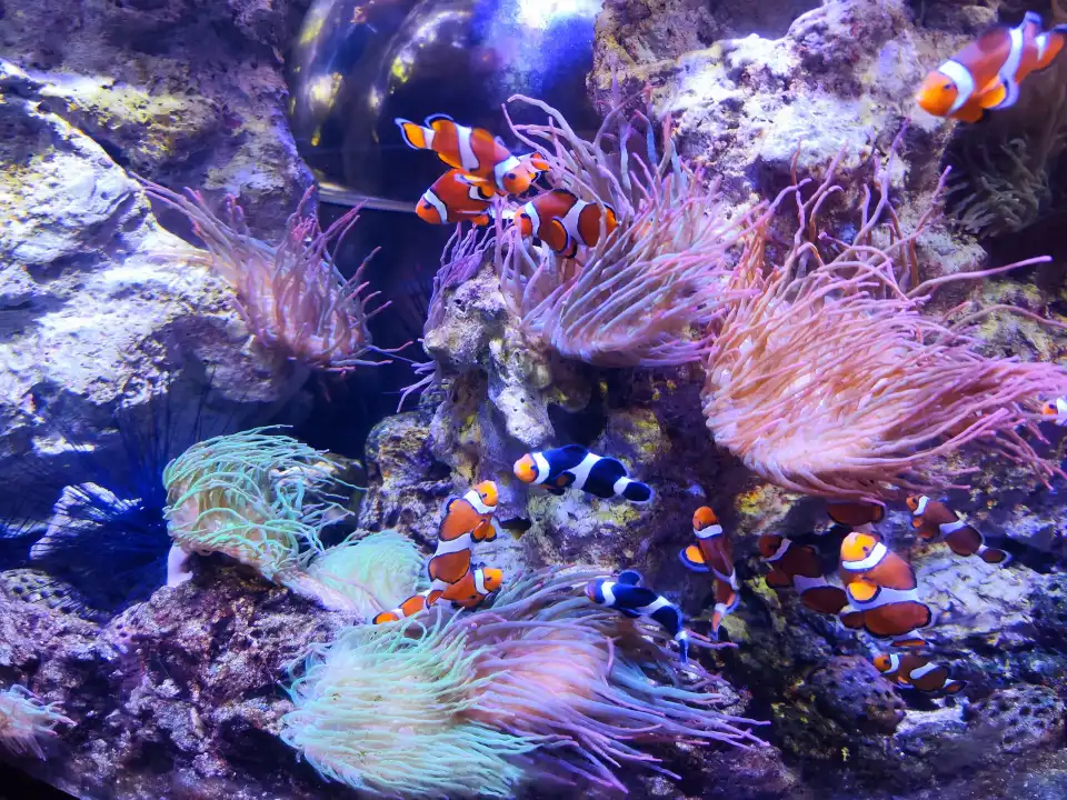 2_加達雲霄樂園海洋生物水族館